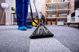 When Do You Need to Clean Your Carpet?