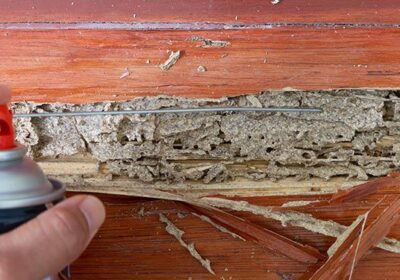 How To Protect Your Home Against Termites