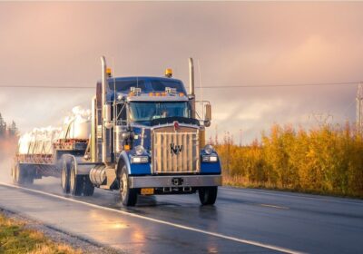 Maximizing profits – How do trucking and freight impact your shipping business?