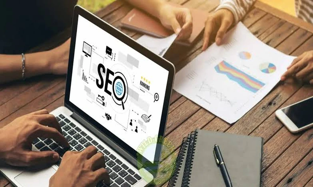 Building Online Trust Through SEO, Design, and Social Media